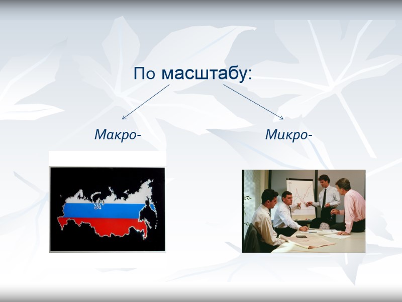 По масштабу: Макро- Микро-